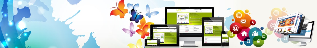 dynamic web designing