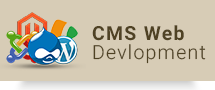 cms web Development