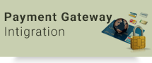 Payment Gateway Integration