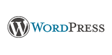 wordpress developement