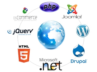 dynamic web designing