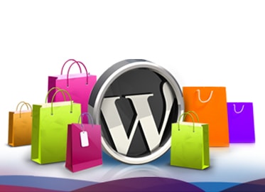 wordpress web development
